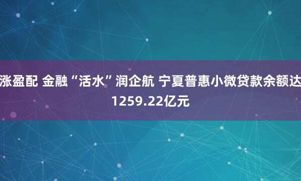 涨盈配 金融“活水”润企航 宁夏普惠小微贷款余额达1259.22亿元