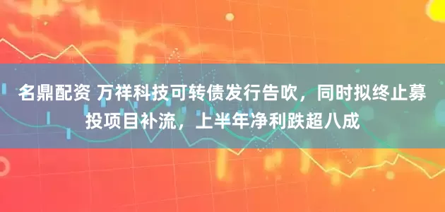 名鼎配资 万祥科技可转债发行告吹，同时拟终止募投项目补流，上半年净利跌超八成