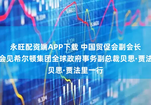 永旺配资端APP下载 中国贸促会副会长刘健男会见希尔顿集团全球政府事务副总裁贝思·贾法里一行