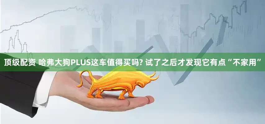 顶级配资 哈弗大狗PLUS这车值得买吗? 试了之后才发现它有点“不家用”
