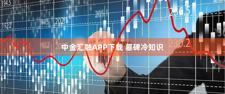 中金汇融APP下载 墓碑冷知识